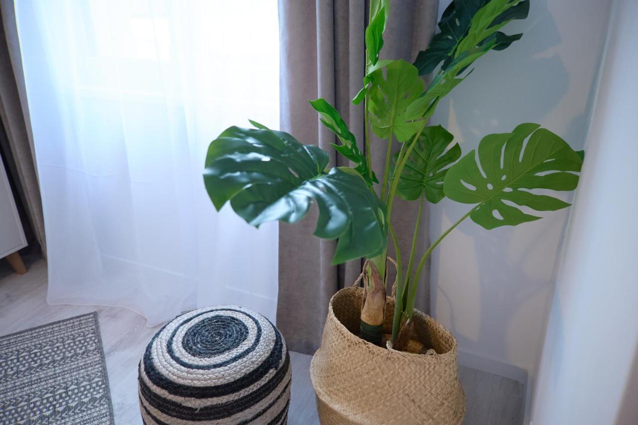 City Center Accomodation - 101 Решица Екстериор снимка
